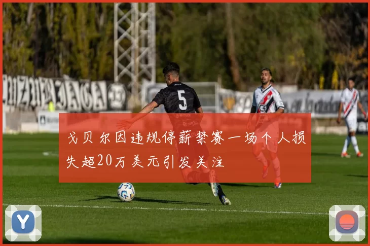 戈贝尔因违规停薪禁赛一场个人损失超20万美元引发关注